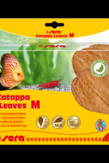 Sera Catappa Leaves M
