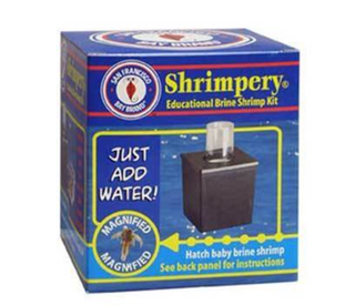 SF Bay Brine Shrimp Hatchery Kit