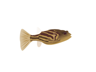 Sticker - Fahaka Puffer