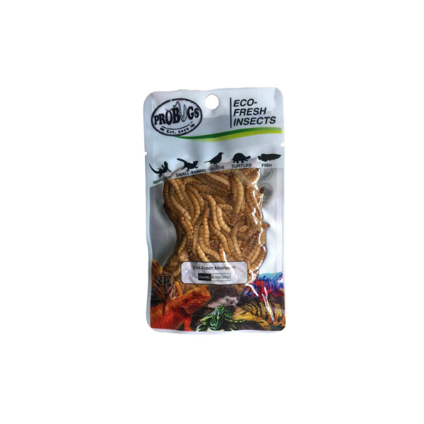 Pro Bug Meal Worm 20g
